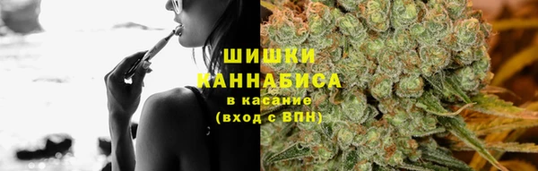шишки Нея