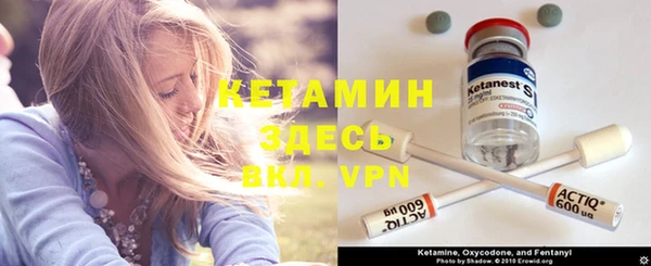 шишки Нея
