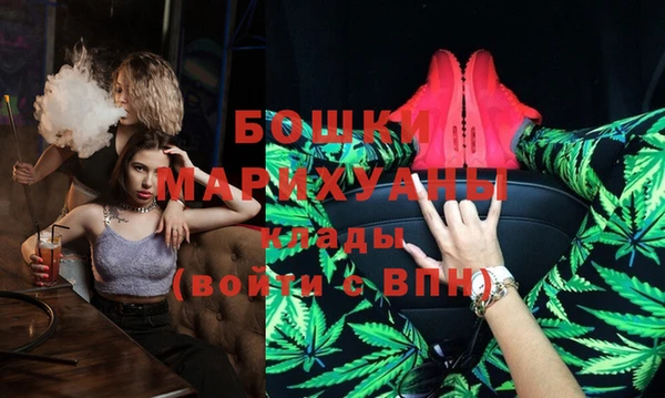 шишки Нея