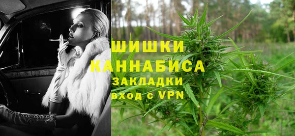 шишки Нея