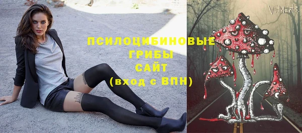 шишки Нея
