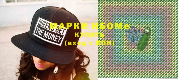 шишки Нея